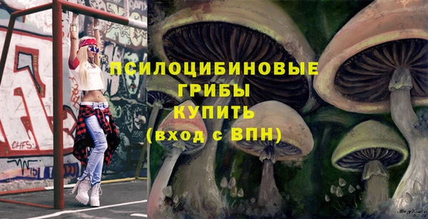 круглые Армянск