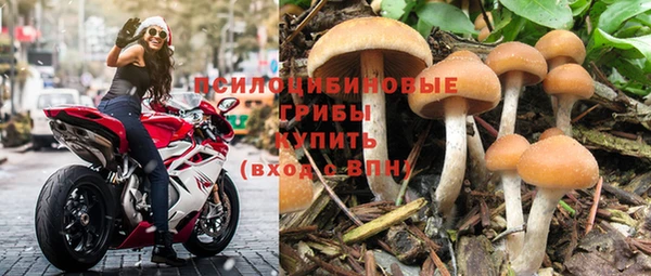 круглые Армянск